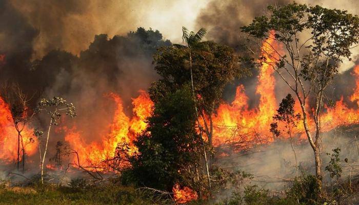 احذروا التعرض لأشعة الشمس … والحرائق
