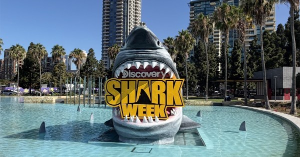 How Shark Week Continues to Make a Big Marketing Splash Year After Year