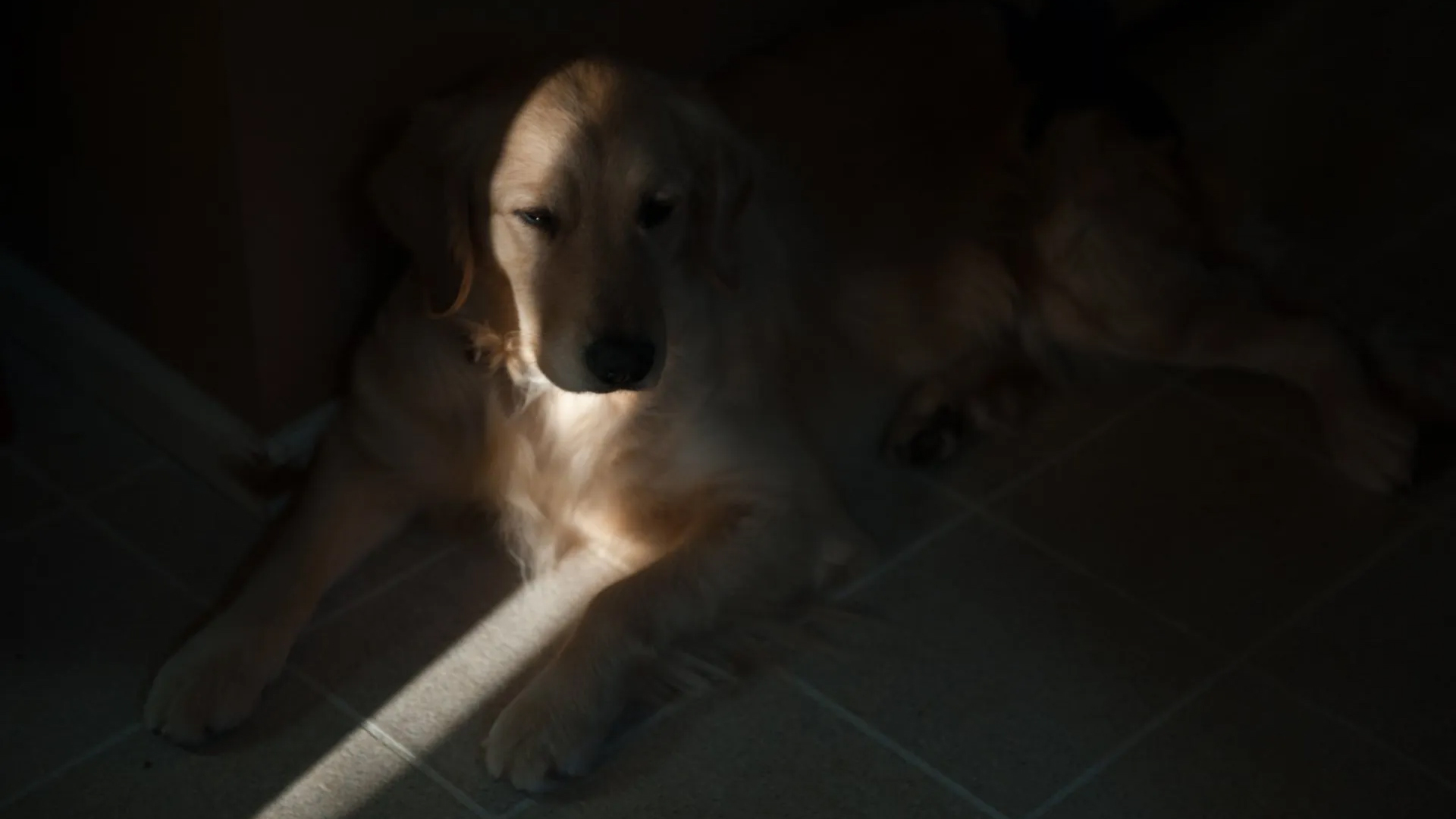 6 photographers share the mistakes they’re glad they made