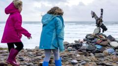 Harry Potter fans force diversion of UK-Ireland power link to avoid Dobby's grave
