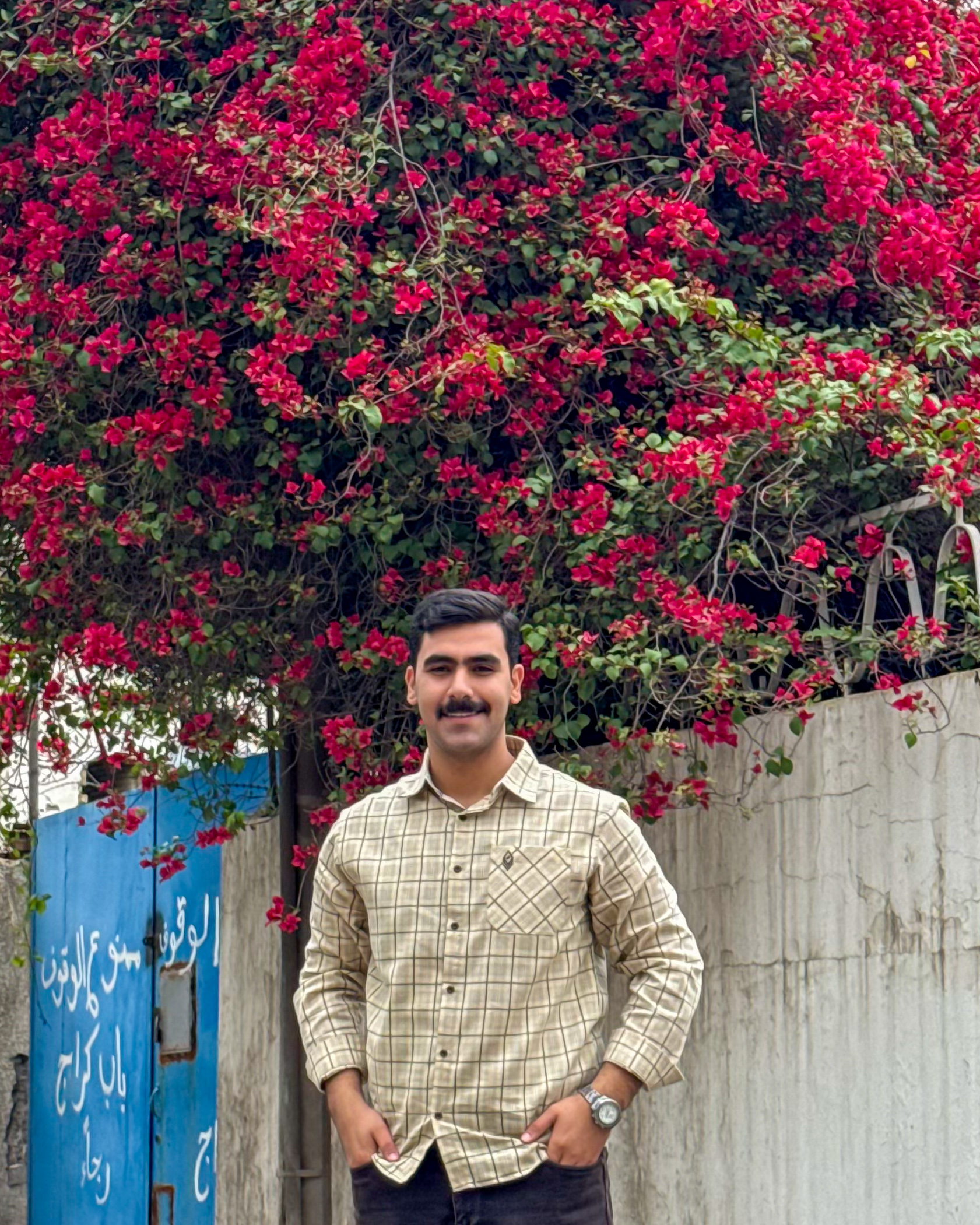 علي سلام